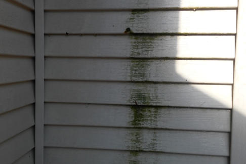 Mold and Mildew Removal by Terry's Pressure Washing